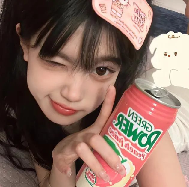 租赁猫